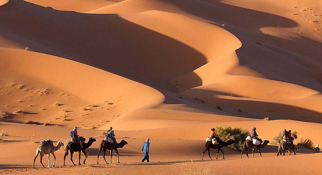 visit sahara desert in morocco and do camel trek in dunes of merzouga