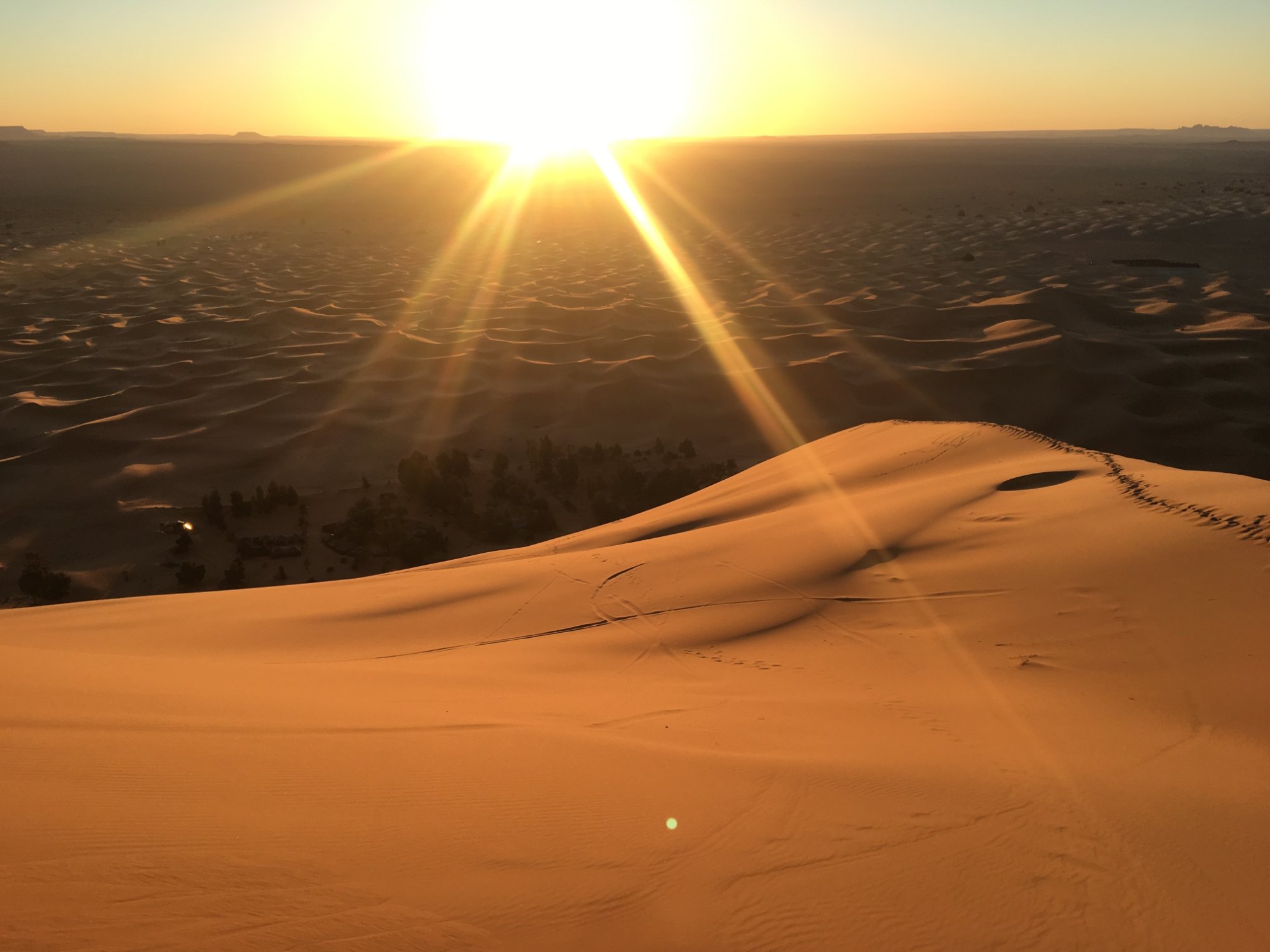 sunrise in the desert morocco