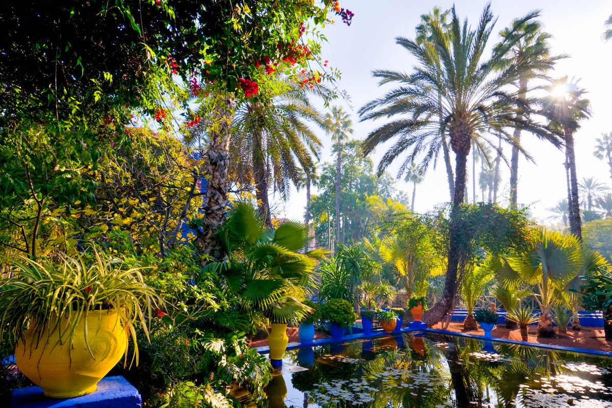 Majorelle garden in Marrakech Morocco